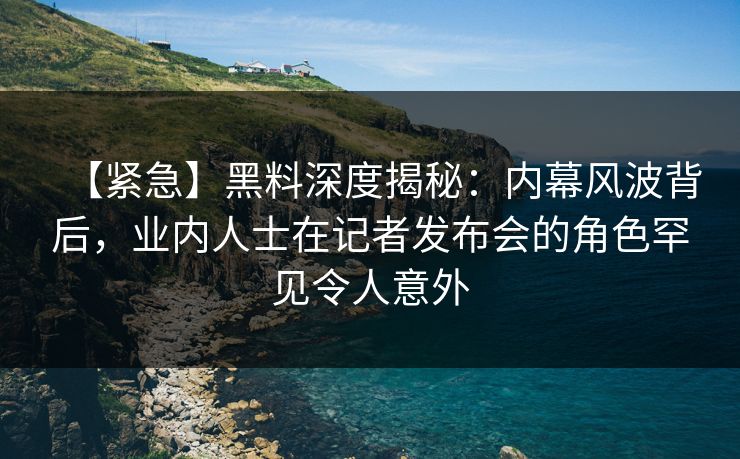 【紧急】黑料深度揭秘：内幕风波背后，业内人士在记者发布会的角色罕见令人意外