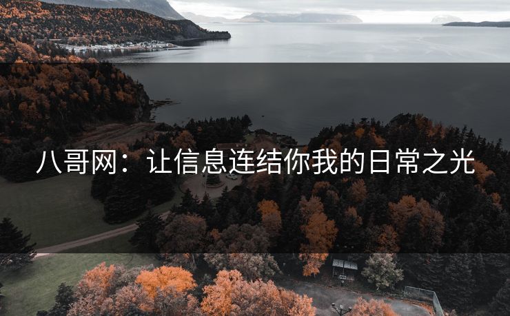 八哥网：让信息连结你我的日常之光