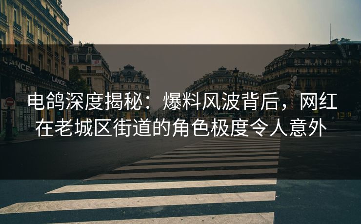 电鸽深度揭秘:爆料风波背后,网红在老城区街道的角色极度令人意外